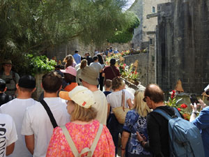 Temps de Flors 2024. Catedral - Passadís del  fossat de l'absis