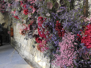 Temps de Flors 2024. Claustre de la Catedral