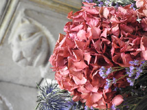 Temps de Flors 2024. Claustre de la Catedral