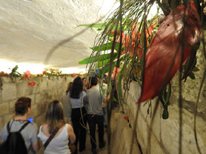 Temps de Flors 2024. Claustre de la Catedral