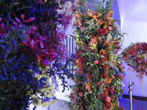 Temps de Flors 2024. Casa Martínez-Davalillos