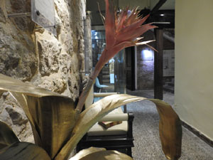 Temps de Flors 2024. Edifici Diaz-Tarragó