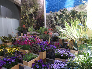 Temps de Flors 2024. Casa Forn - Diputaci&oacute; de Girona