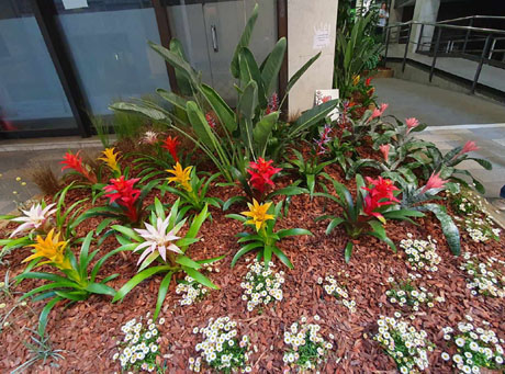 Temps de Flors 2024. Edifici Fòrum (Carrer Albereda)