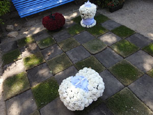 Temps de Flors 2024. Jardí de la Francesa