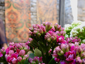 Temps de Flors 2024. Museu d'Art. Jardins