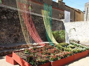 Temps de Flors 2024. Museu d'Art. Jardins