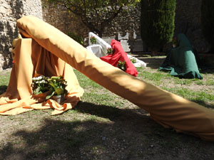 Temps de Flors 2024. Museu d'Art. Jardins