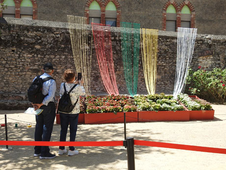 Temps de Flors 2024. Museu d'Art. Jardins