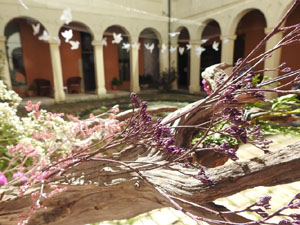 Temps de Flors 2024. Museu d'Hist&ograve;ria - Claustre