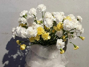 Temps de Flors 2024. Centre Cultural La Merc&egrave;