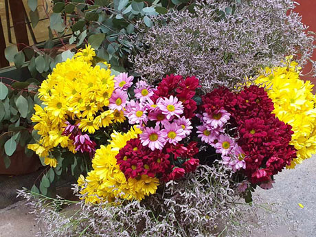 Temps de Flors 2024. Carrer Nou del Teatre