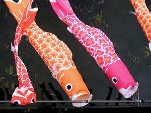 Temps de Flors 2024. Pont d'en Gómez