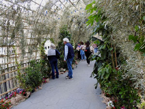 Temps de Flors 2024. Pont de Sant Agustí
