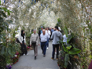 Temps de Flors 2024. Pont de Sant Agustí