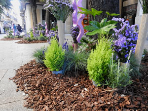 Temps de Flors 2024. Punt de Trobada