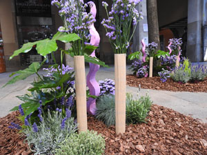 Temps de Flors 2024. Punt de Trobada