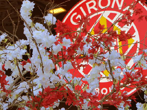 Temps de Flors 2024. Espais diversos