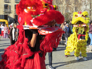 Celebració de l'any nou xinès, el 4723, any de la Serp, a Girona