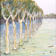 Auca de la Devesa