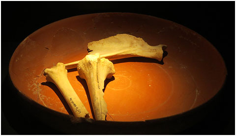 Plat. Ceràmica africana de cuina. Època romana, segles II-III dC. Tolegassos, Viladamat