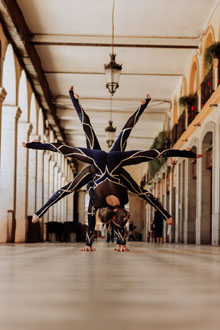 Festival Internacional del Circ Elefant d'Or 2025