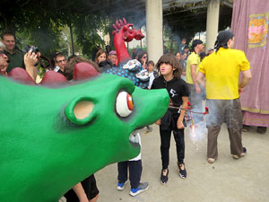 Fires de Sant Narcís 2025. XLIV Trobada de Gegants i Bestiari