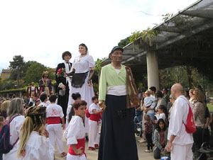 Fires de Sant Narcís 2025. XLIV Trobada de Gegants i Bestiari