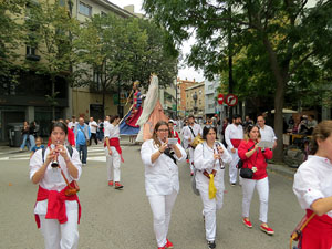 Fires de Sant Narcís 2025. XLIV Trobada de Gegants i Bestiari