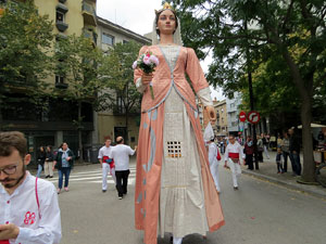 Fires de Sant Narcís 2025. XLIV Trobada de Gegants i Bestiari