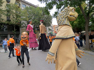 Fires de Sant Narcís 2025. XLIV Trobada de Gegants i Bestiari