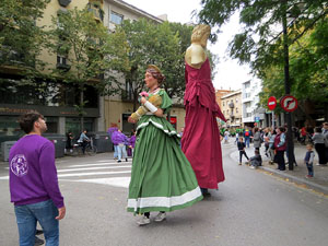 Fires de Sant Narcís 2025. XLIV Trobada de Gegants i Bestiari