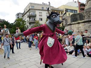 Fires de Sant Narc&iacute;s 2025. XLIV Trobada de Gegants i Bestiari