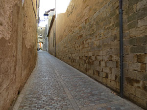 La pujada del rei Martí