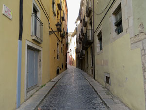 La pujada del rei Martí