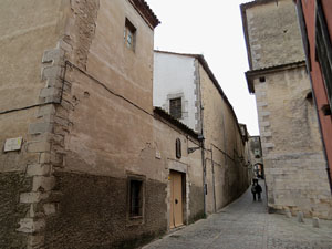 La pujada del rei Martí