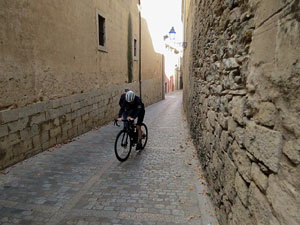 La pujada del rei Martí