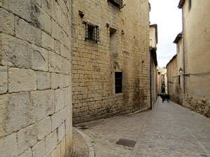 La pujada del rei Martí