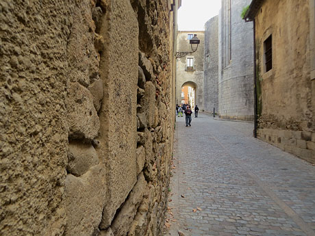 La pujada del rei Martí