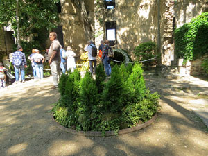 Temps de Flors 2025. Jardins dels Alemanys