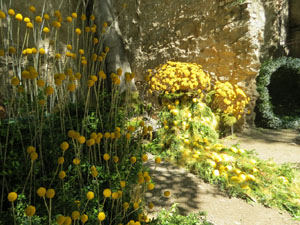 Temps de Flors 2025. Jardins dels Alemanys