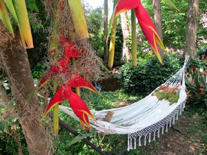 Temps de Flors 2025. Jardins dels Alemanys