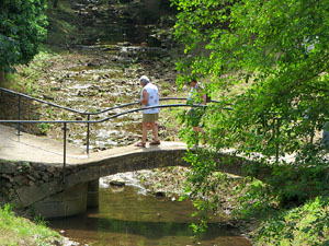 Temps de Flors 2025. Altres instal·lacions