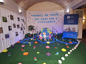 Temps de Flors 2025. Altres instal·lacions