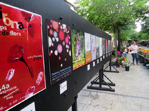 Temps de Flors 2025. Altres instal·lacions