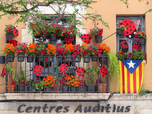 Temps de Flors 2025. Altres instal·lacions