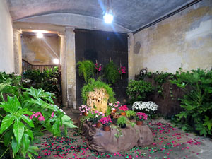 Temps de Flors 2025. Altres instal·lacions