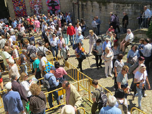 Temps de Flors 2025. Altres instal·lacions