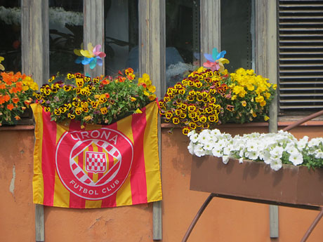 Temps de Flors 2025. Altres instal·lacions