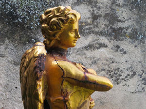 Temps de Flors 2025. Jardí de l'Àngel